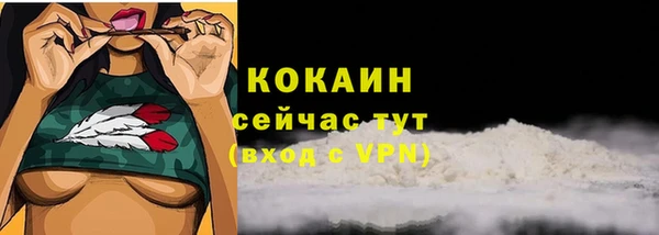 ГАЛЛЮЦИНОГЕННЫЕ ГРИБЫ Каменногорск